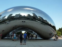 UNAM Chicago saca convocatoria para estudiar inglés en Verano Puma 2022