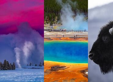 Descubre la belleza del Parque Yellowstone desde casa