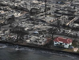 Incendios en Maui: Así sobrevivió al fuego la casa de techo rojo en Hawái