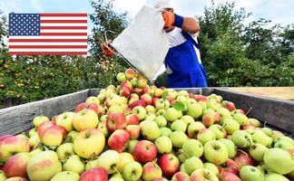 Requisitos, pasos y costo de la visa americana H-2A de trabajador agrícola