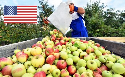 Requisitos, pasos y costo de la visa americana H-2A de trabajador agrícola