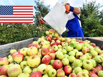 A partir del 1 de julio, entra en vigor ley en Florida que afecta a trabajadores latinos