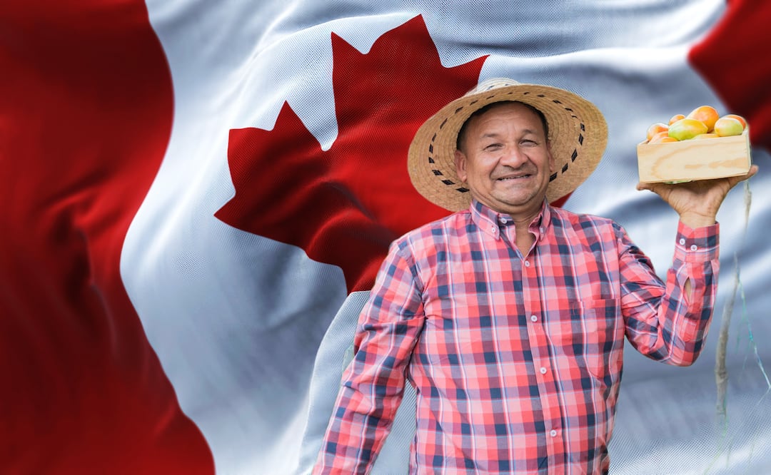 El empleo de trabajador agrícola en Canadá es de tiempo completo. Foto: iStock