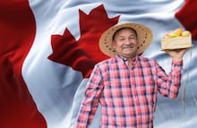 Buscan jornaleros agrícolas en Canadá y sólo piden secundaria: Aquí el salario y requisitos