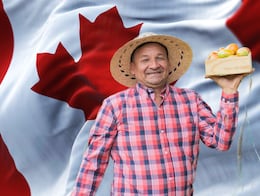 Buscan jornaleros agrícolas en Canadá y sólo piden secundaria: Aquí el salario y requisitos