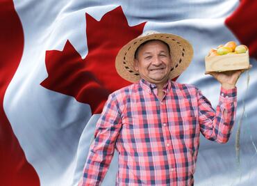 Buscan jornaleros agrícolas en Canadá y sólo piden secundaria: Aquí el salario y requisitos