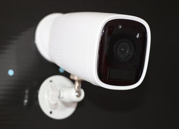 Cámara en acuario de Florida grabó a mujeres en el vestuario