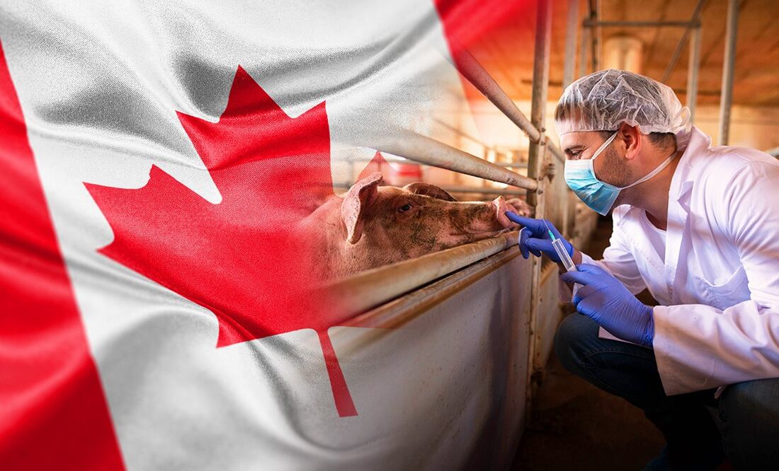 Trabajo en el extranjero: Smederevac