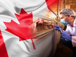 ¡Hay vacantes! Trabaja en Canadá como criador de animales y gana $45,000