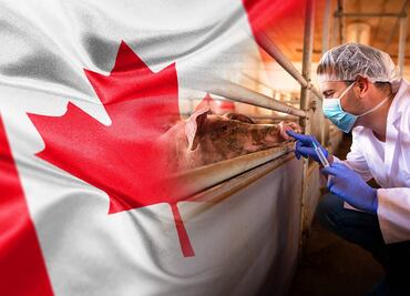 ¡Hay vacantes! Trabaja en Canadá como criador de animales y gana $45,000