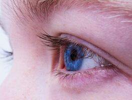 5 hechos científicos sobre los ojos azules