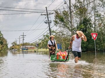 Caimán arranca brazo a hombre en zona inundada de Luisiana