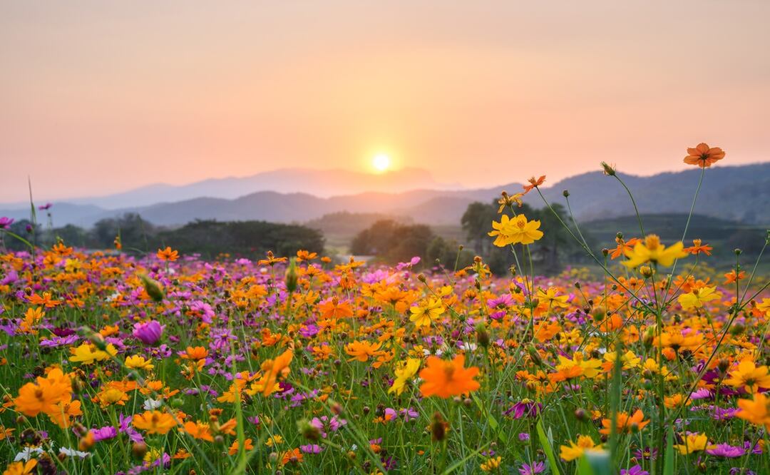 El equinoccio de primavera traerá días más largos.
Foto: iSTOCK/Mumemories