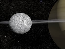 "¡Sorpresa en Saturno! La luna Mimas podría tener un océano recién descubierto y en evolución. FOTOS
