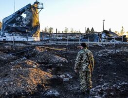 Rusia dice que EU usa aves y murciélagos para su plan de armas biológicas