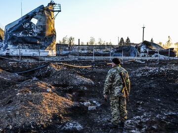 Rusia dice que EU usa aves y murciélagos para su plan de armas biológicas