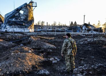 Rusia dice que EU usa aves y murciélagos para su plan de armas biológicas