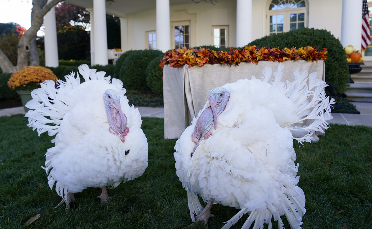 El verdadero origen del Día de Acción de Gracias (Thanksgiving)