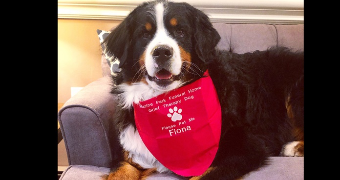 Fiona se convirtió en el “buen ciudadano canino” 1 millón,