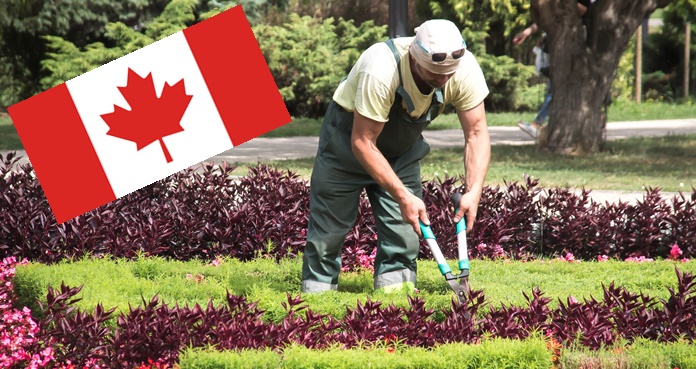 Canadá busca jardineros