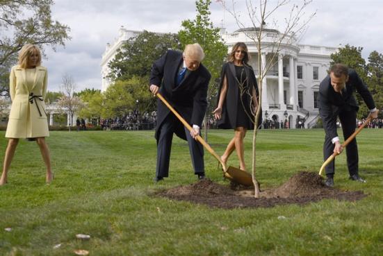 Donald Trump y su par francés Emmanuel Macron plantando un roble en el jardín de la Casa Blanca
