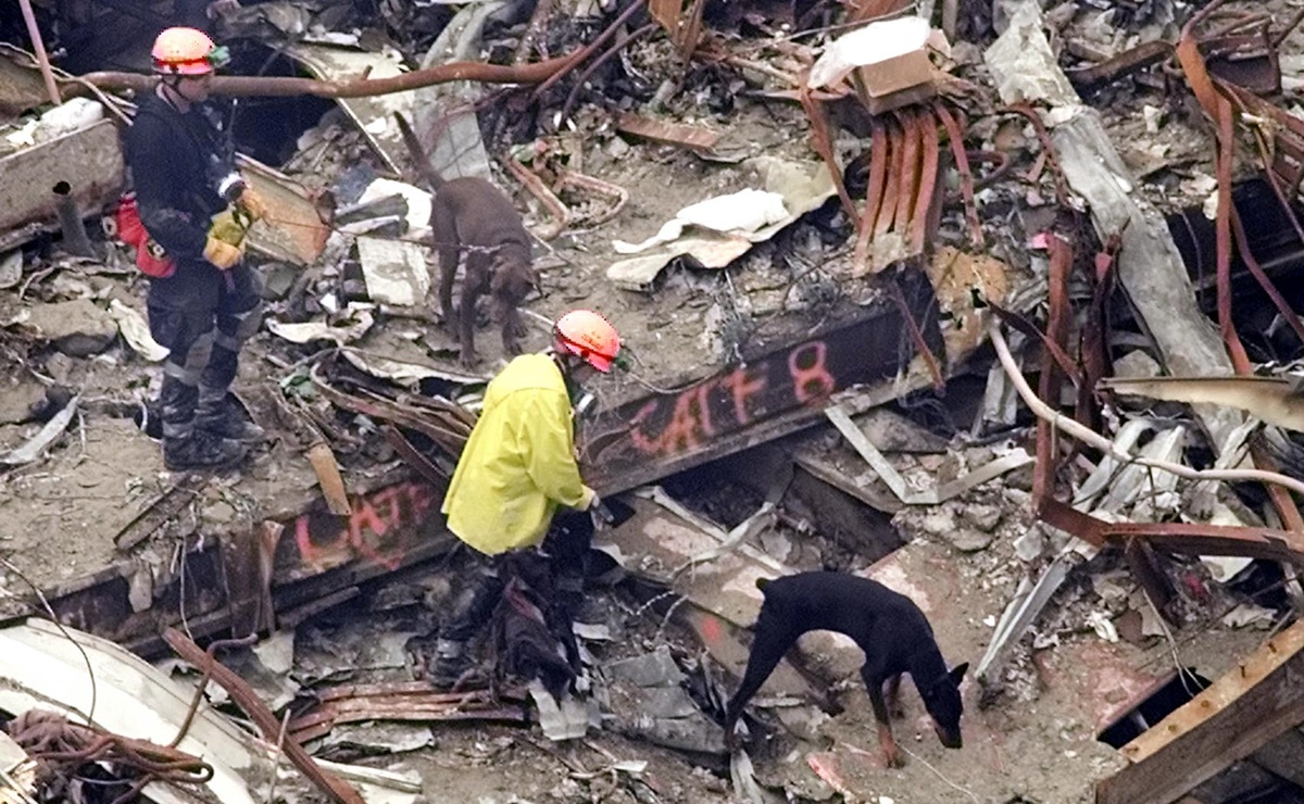 Perros de rescate, otros héroes tras los atentados del 11 de septiembre