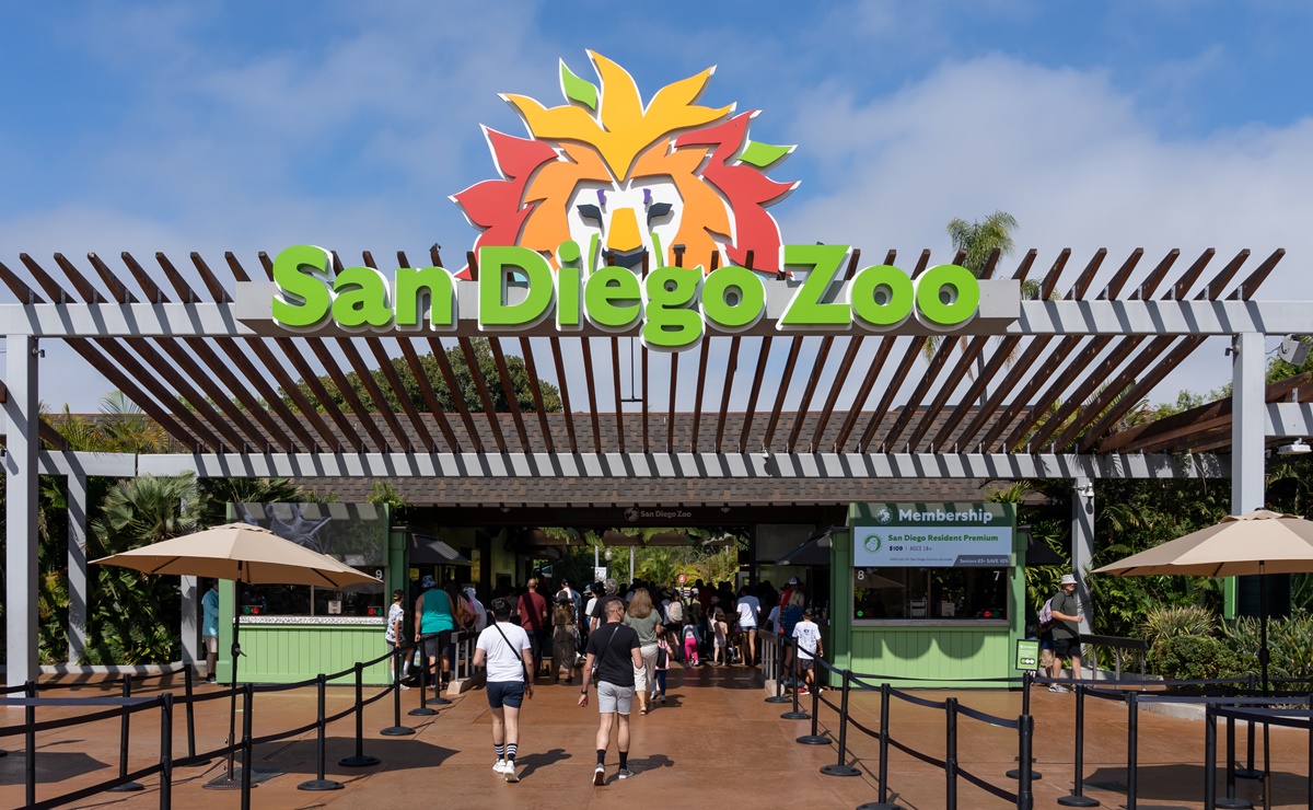 Niños tendrán entrada gratis al Zoológico de San Diego en octubre