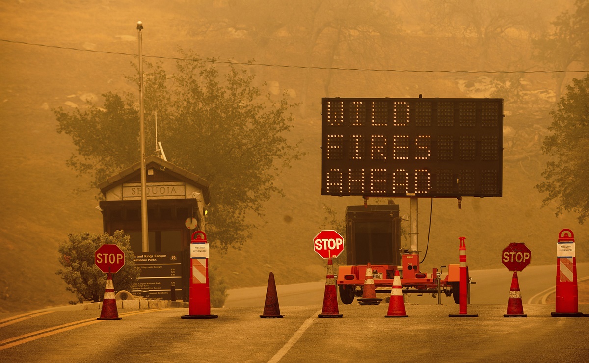 Incendio se acerca a las secuoyas gigantes de California