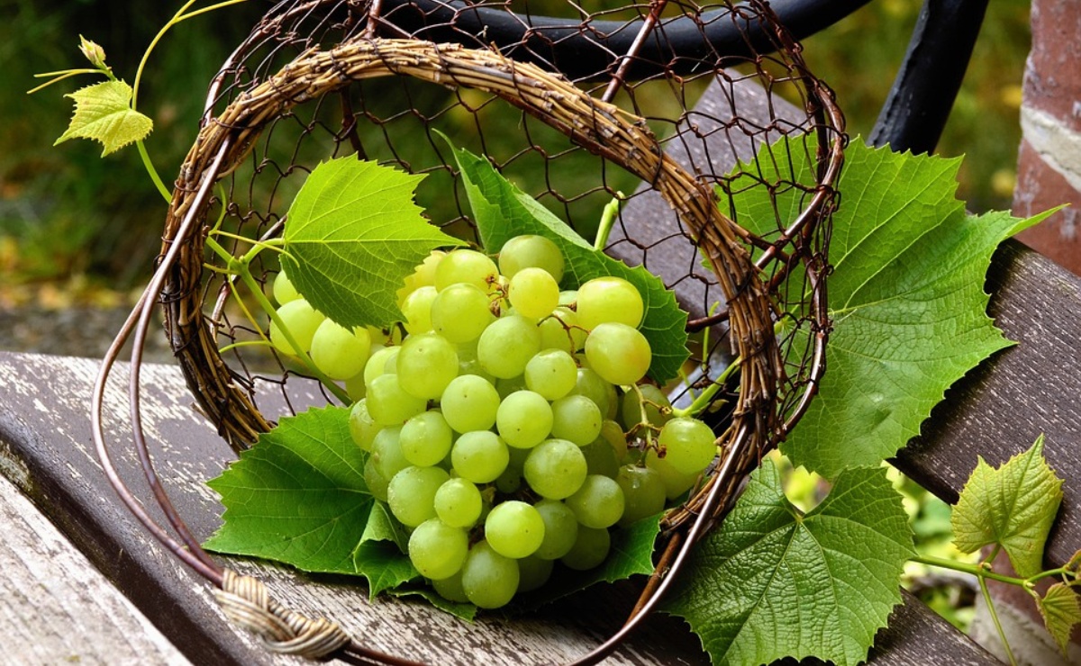 ¿Por qué comemos uvas en la víspera del Año Nuevo? Aquí el origen