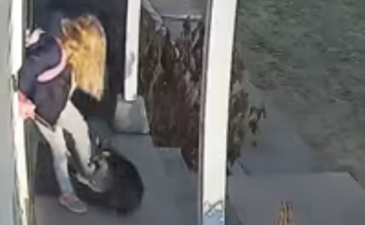 Madre rescata a su hija de ataque de mapache en EU