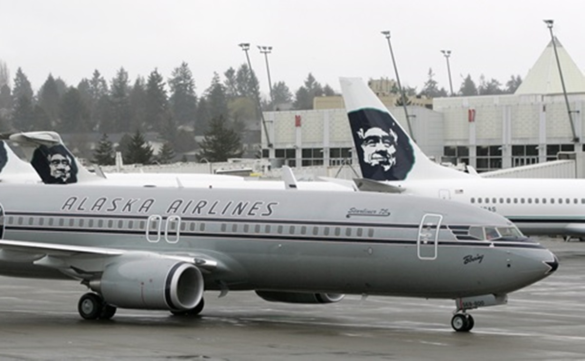 Avión arrolla a oso durante aterrizaje en aeropuerto de Alaska
