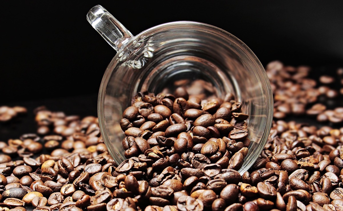 Estudio identifica los beneficios de tomar tres tazas de café al día