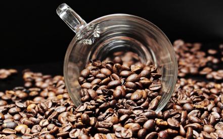 Cómo el café puede ayudar a prevenir el cáncer de hígado