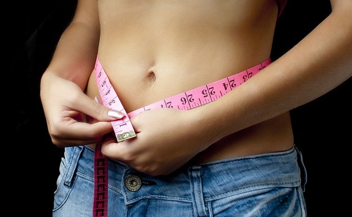 ¿Cómo afecta a nuestra salud la grasa abdominal, según Harvard?