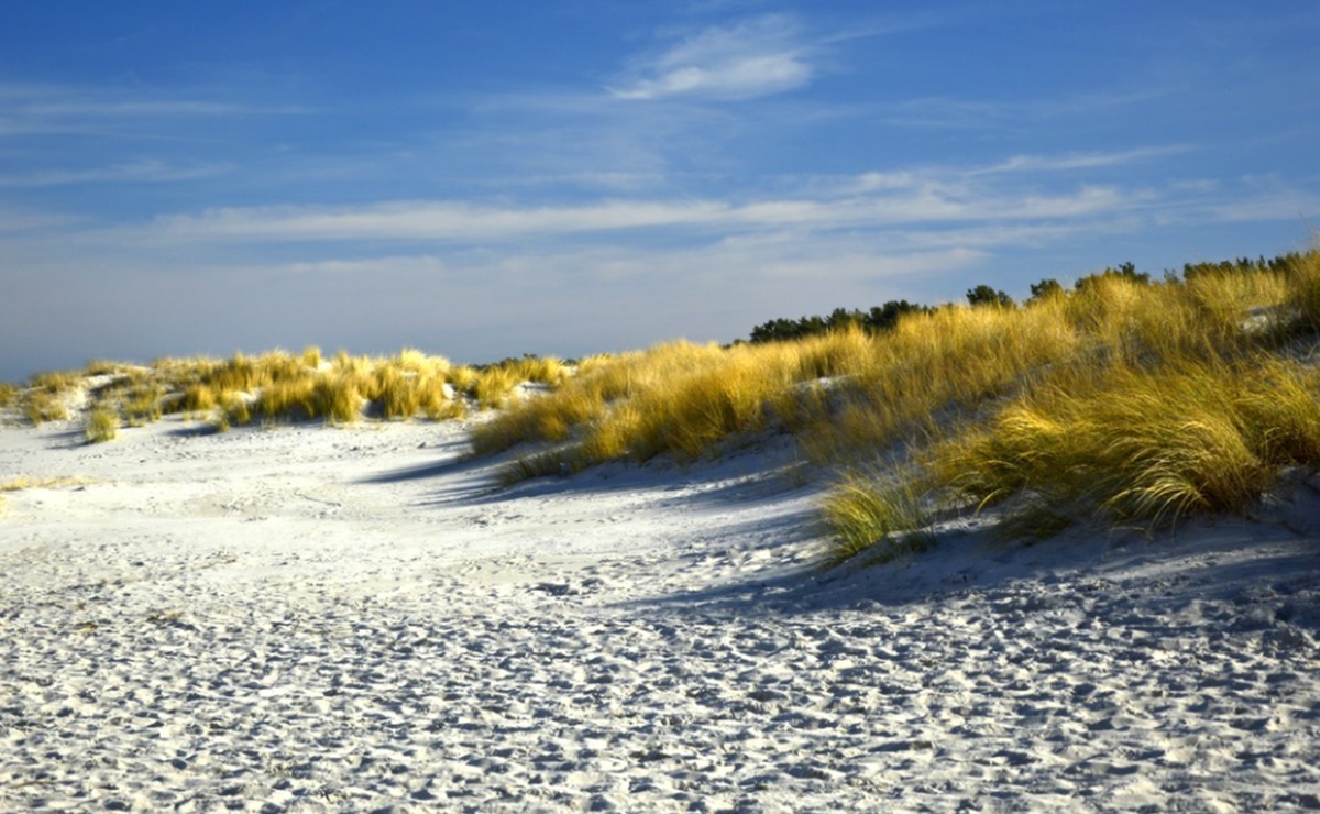 Hombre muere enterrado por una duna en playa de Florida