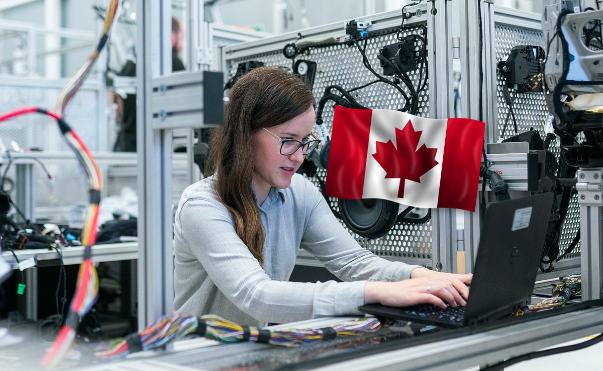 Ofrecen $109,000 a ingenieros mexicanos para trabajar en Canadá