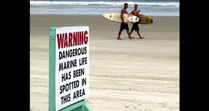 advertencia de animales peligrosos en playa de florida