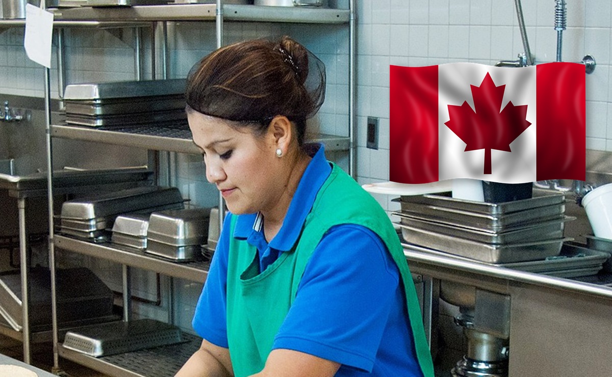 Sin inglés ni francés: buscan obreros mexicanos para trabajar en Canadá por $75,000