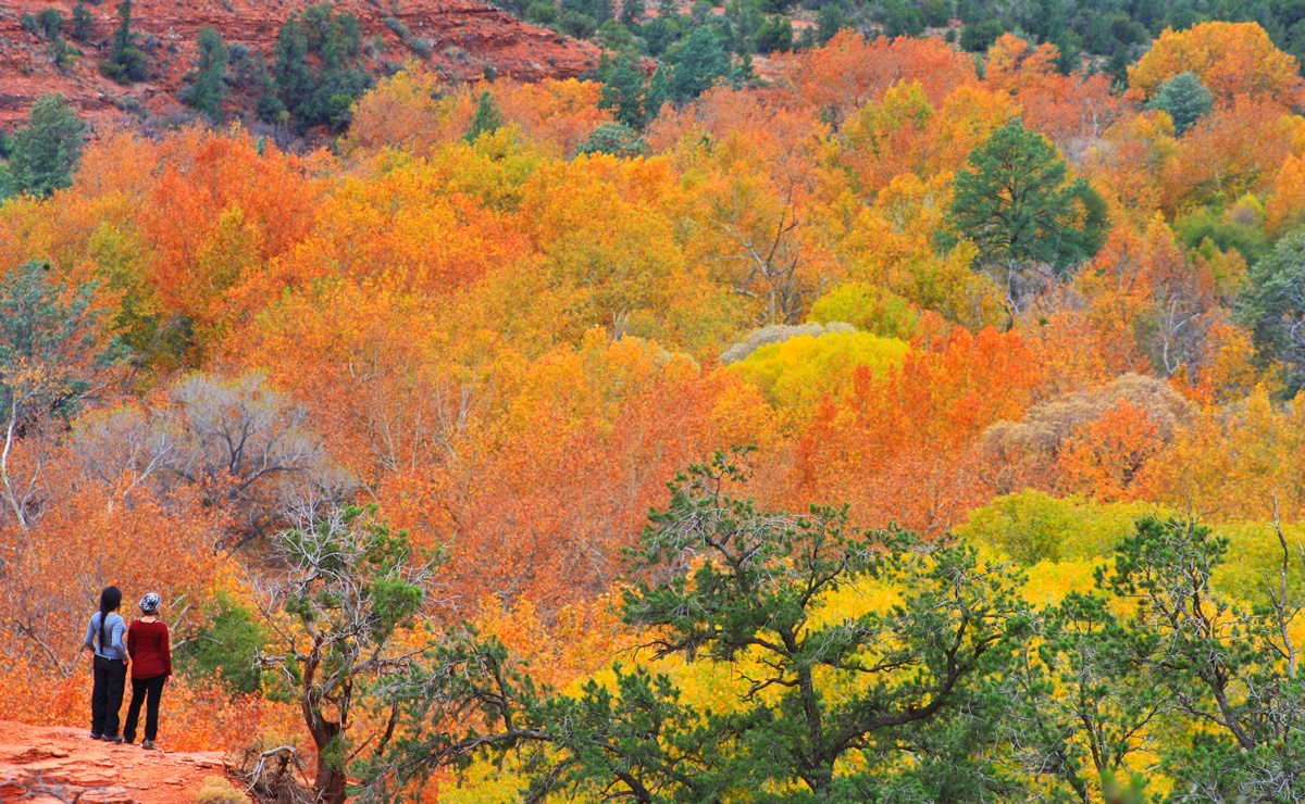 Los mejores lugares para ver el follaje de otoño en Arizona