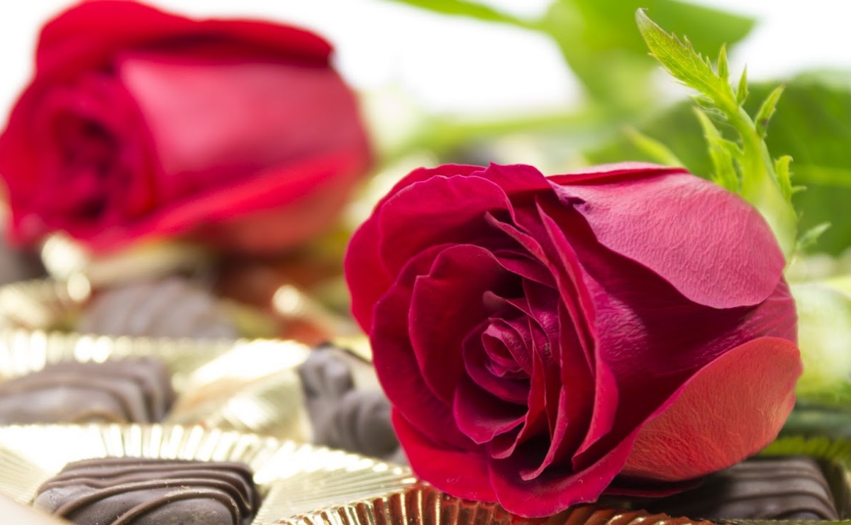 Ideas ‘únicas’ de regalo para este Día de San Valentín
