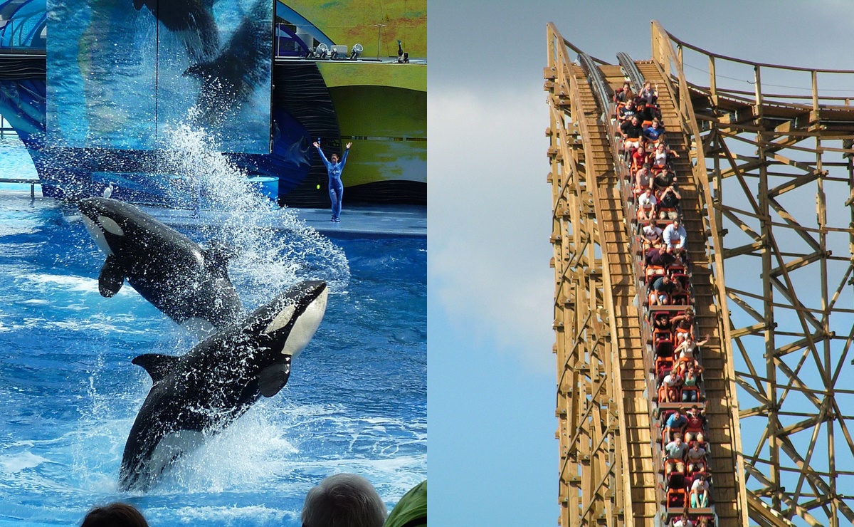 Reapertura en SeaWorld y Six Flags