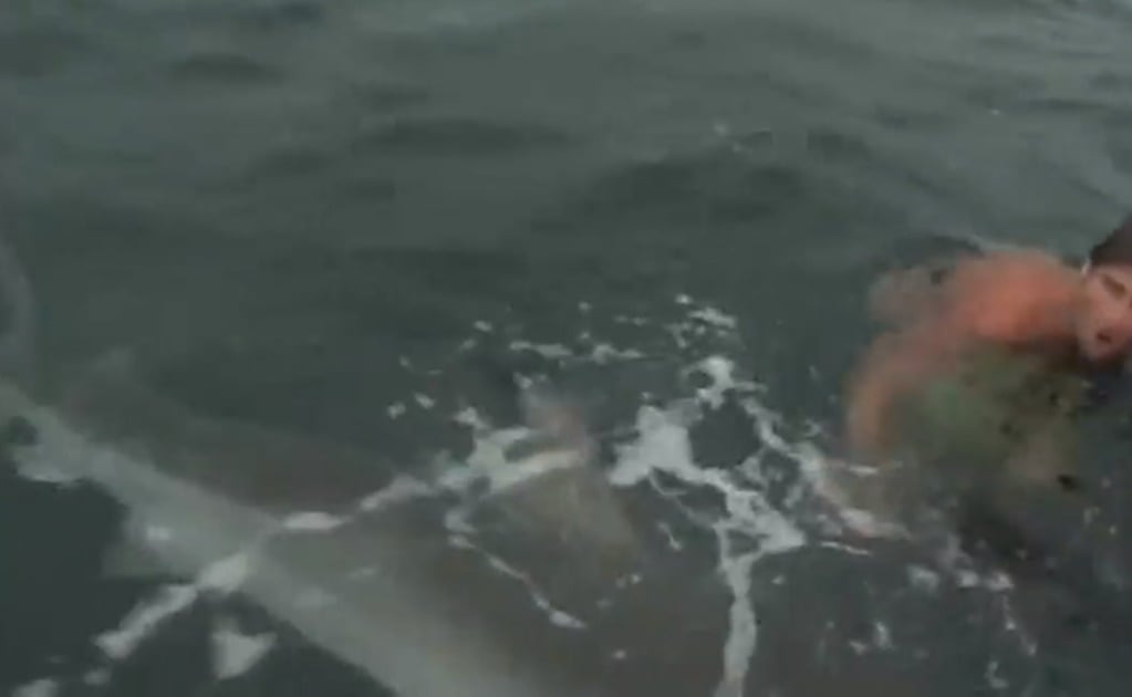 Hombre sobrevive a peligroso ataque de tiburón en playas de California