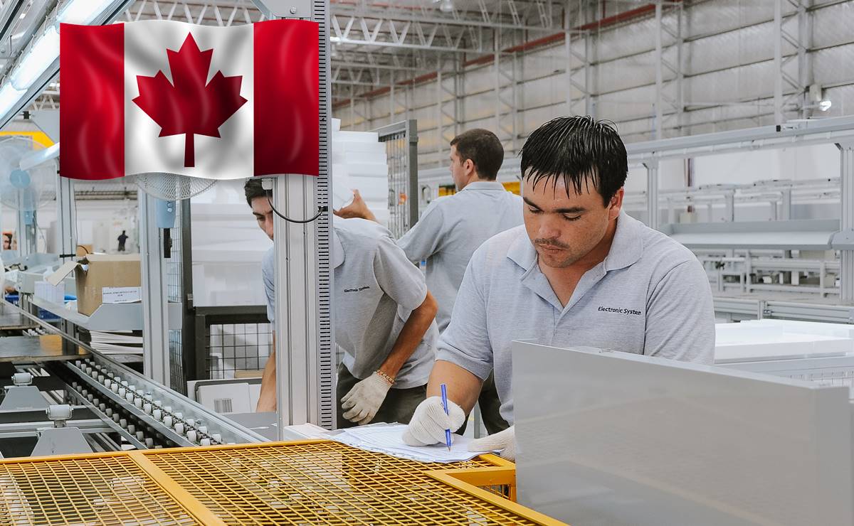 Trabajo en Canadá: contratan mexicanos para procesamiento de arándanos