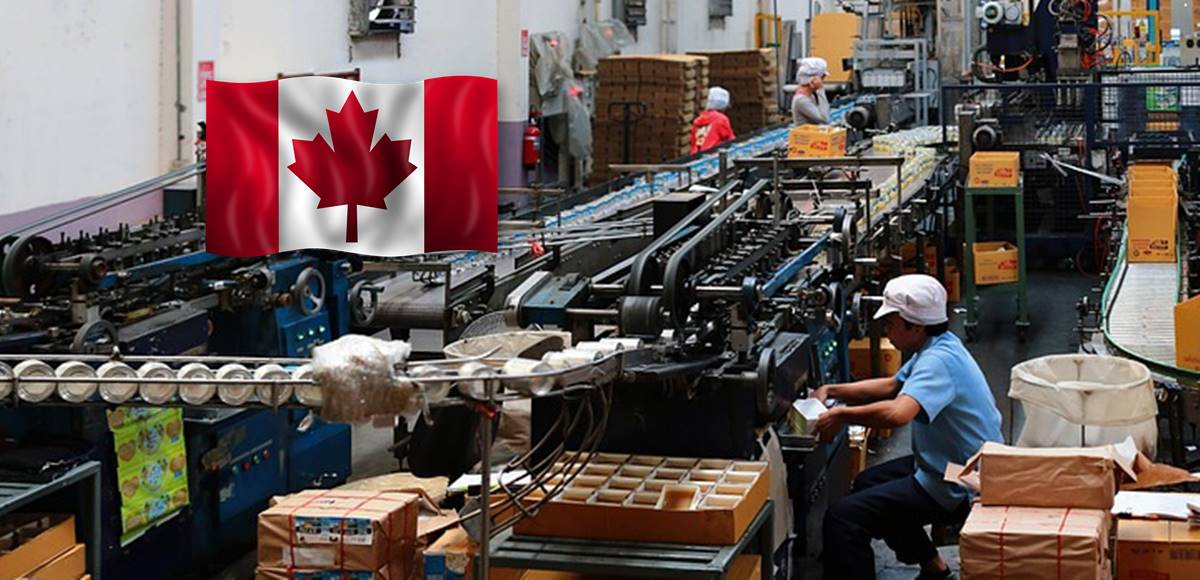 Lanzan trabajo para obreros mexicanos en Canadá