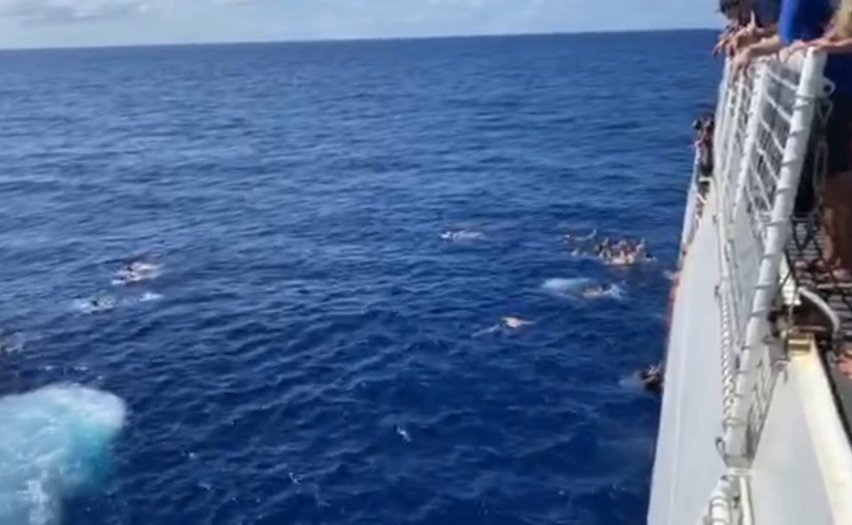 Video. Guardia Costera abre fuego contra tiburón
