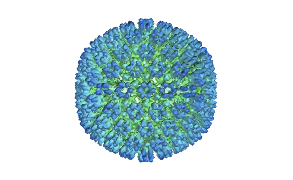 Virus Epstein-Barr sería la causa principal de la esclerosis múltiple