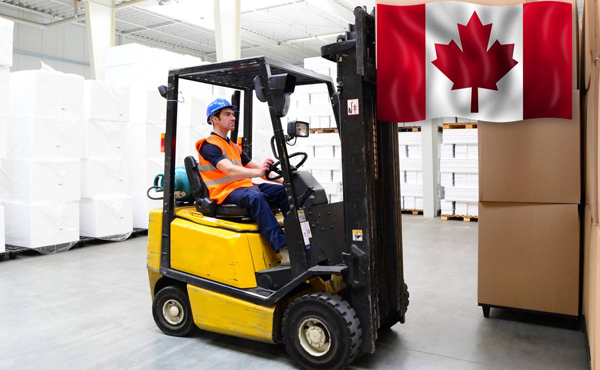 Trabaja en Canadá como cargador de almacén y gana $35,00 (sin inglés)
