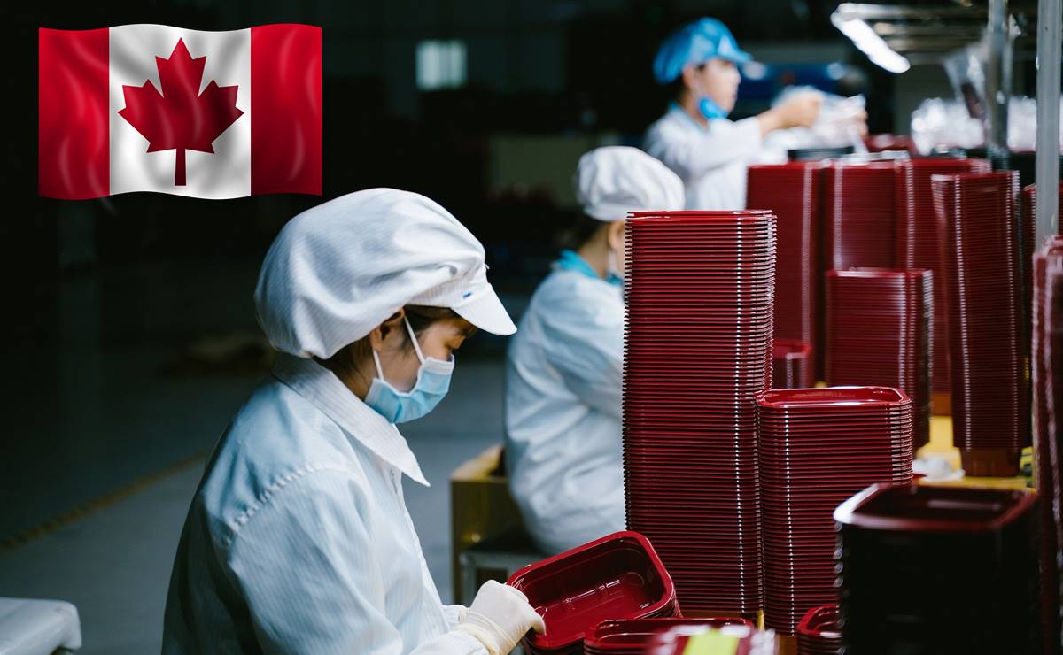 Solicitan mexicanos en Canadá para trabajo en procesamiento de alimentos 