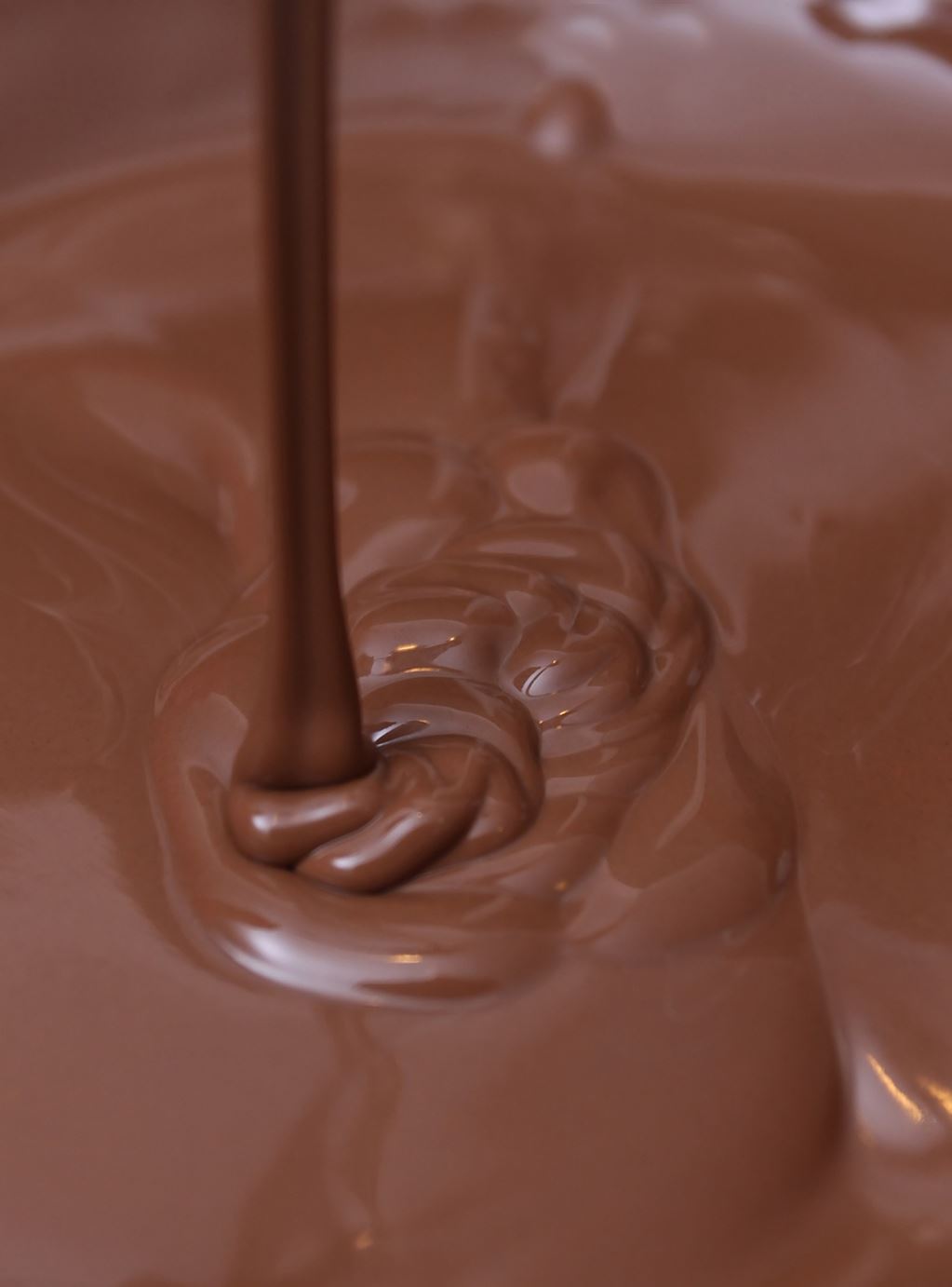 Vinculan la ingesta de chocolates con menor riesgo de enfermedad card&iacute;aca