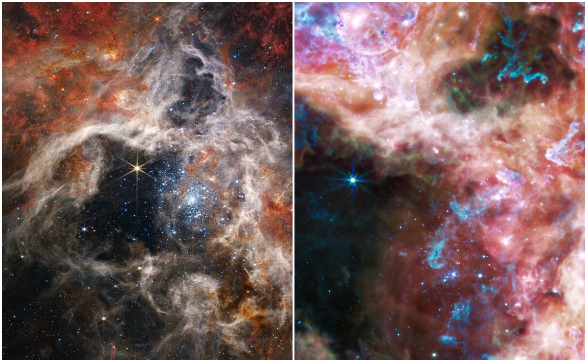 Sorprendentes im&aacute;genes de una &ldquo;nebulasa tar&aacute;ntula&rdquo; capturada por James Webb
